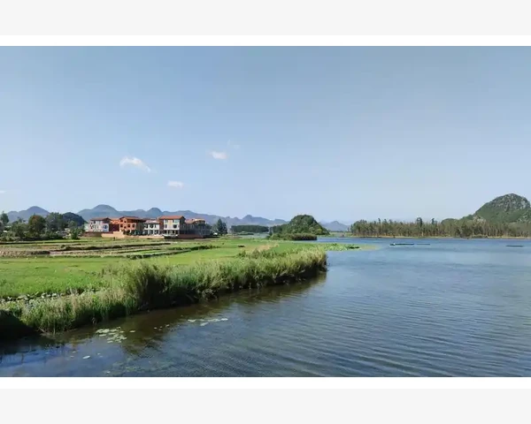去痰化痰的最佳方法：中医视角探讨